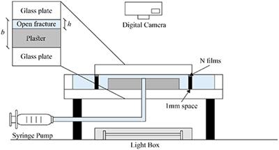 Experimental Observation of Dissolution Finger Growth in Radial Geometry